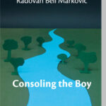 Consoling the Boy Radovan Beli Marković