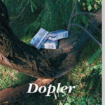 Dopler Erlend Lu
