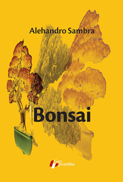 Bonsai Alehandro Sambra