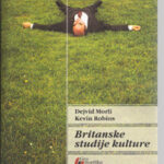 Britanske studije kulture Dejvid Morli, Kevin Robins