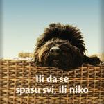 Ili da se spasu svi, ili niko Veronik Bergen