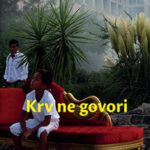 Krv ne govori Nazim Hikmet
